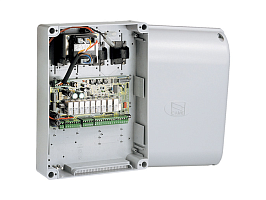 Заказать Блок управления CAME ZL170N для одного привода с питанием двигателя 24 В в Темрюке